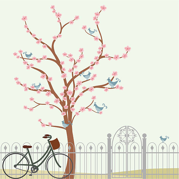 bildbanksillustrationer, clip art samt tecknat material och ikoner med fresh air cherry tree and bicycle - tree of flower of life