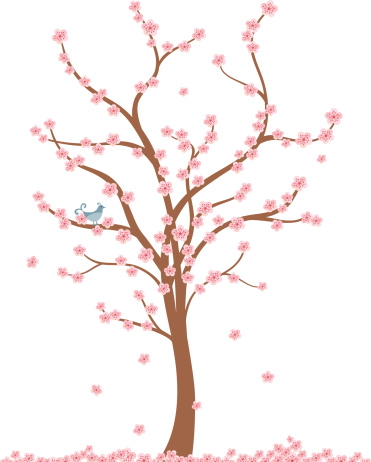 Fresh Air Cherry Tree