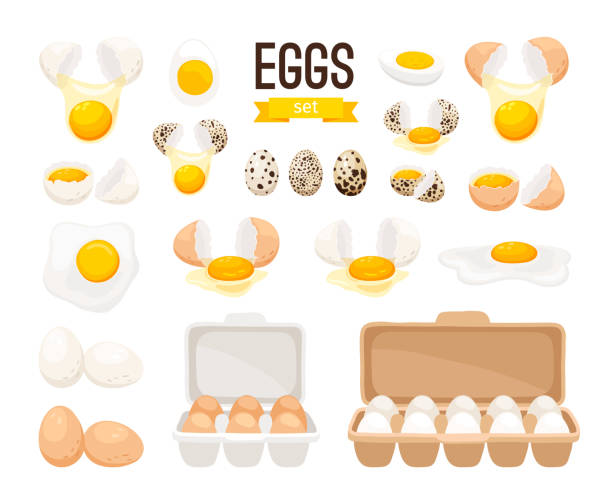 Fresh and boiled eggs Fresh and boiled eggs. Cartoon broken eggs with cracked eggshell, in cardboard box and egg half with yolk vector illustration egg illustrations stock illustrations
