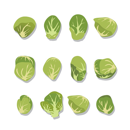 Fresh Brussels Sprouts On White Background.