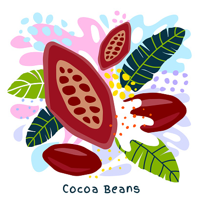 Fresh cocoa beans juice splash organic food condiment spice splatter. Spicy herbs nuts.