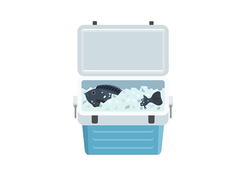 Fresh fish in icebox. Simple flat illustration
