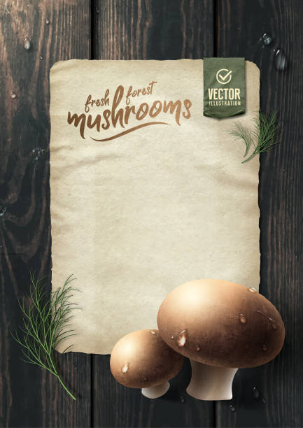나무 테이블에 신선한 숲 버섯. 벡터 일러스트레이션 - 목재 재료 stock illustrations