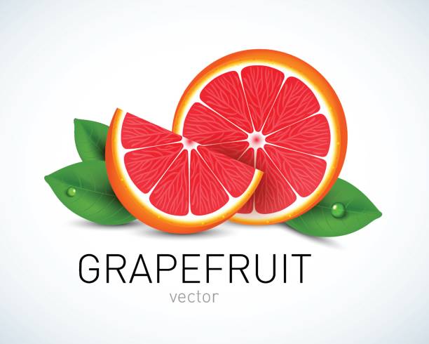 Royalty Free Pink Grapefruit Clip Art Vector Images Royalty Free Pink Grapefruit Clip Art Vector Images