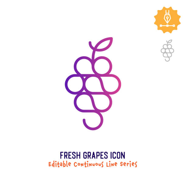 Fresh Grapes Continuous Line Editable Stroke Line Fresh grapes vector icon illustration for logo, emblem or symbol use. Part of continuous one line minimalistic drawing series. Design elements with editable gradient stroke line. grape stock illustrations