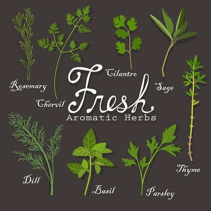Fresh Herbs