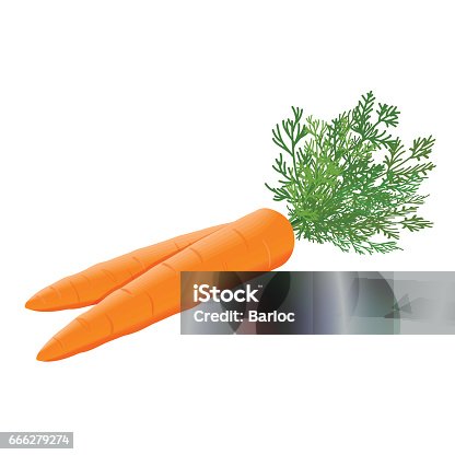 istock Fresh juicy carrots heap with green stems background 666279274
