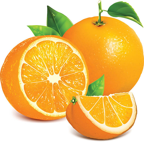 Royalty Free Orange  Fruit Clip Art  Vector  Images  Royalty Free Orange  Fruit Clip Art  Vector  Images