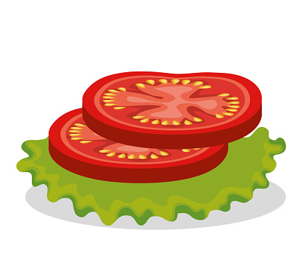 fresh slice tomatoes icon