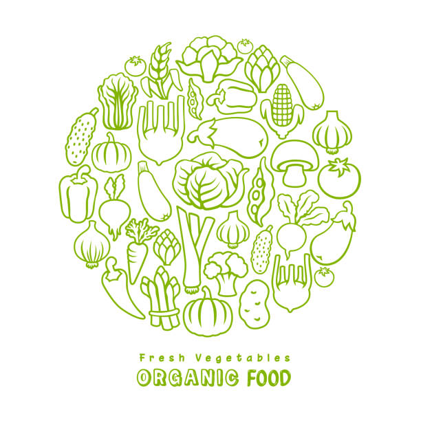 Fresh vegetables. Organic Food. Organic food. Vector design template. supermarket drawings stock illustrations