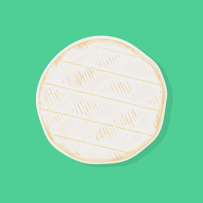 Fresh whole cylinder of camembert de Normandie cheese, top view. Vector illustration.