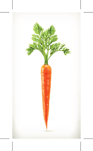 Fresh young carrot, health food, vector icon  carrot stock illustrations