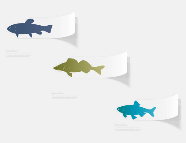 Royalty Free Fish Gills Clip Art, Vector Images & Illustrations - iStock