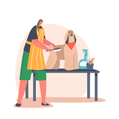 Friendly Hairdresser Female Character Provides Grooming Service, Combing Dog with Long Hair in Salon, Domestic Animal