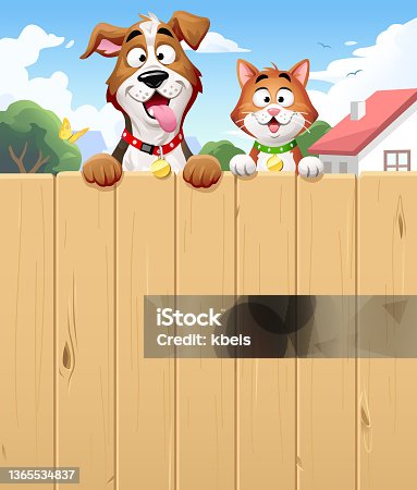 istock Friendly Neighbours- Cat And Dog Peeking Over A Fence 1365534837