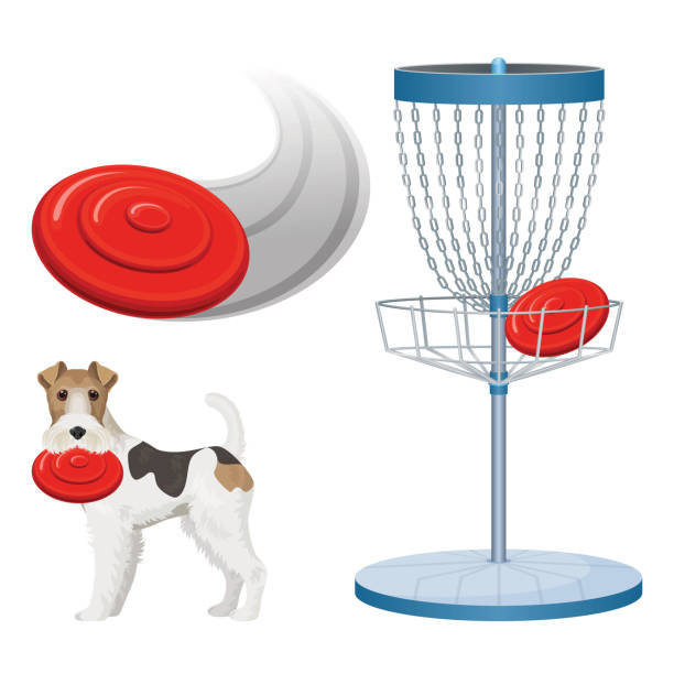 Frisbee golf game color vector illustration set poster Frisbee game equipment color poster. Basket target on pole and red flying disk. Active holiday with fox-terrier pet. Vector cute fox terrier and gaming plate frisbee stock illustrations