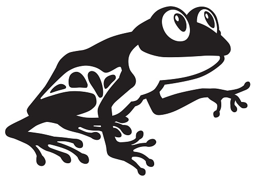 frog black and white
