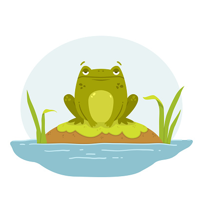 A frog in a swamp. Toad sits on a rock. Cute flat hand drawn character. Vector illustration isolated on white background.