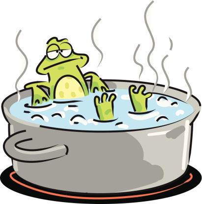 frog-in-boiling-water-vector-id511744645