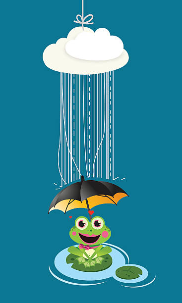 Frog in rain with umbrella vector art illustration