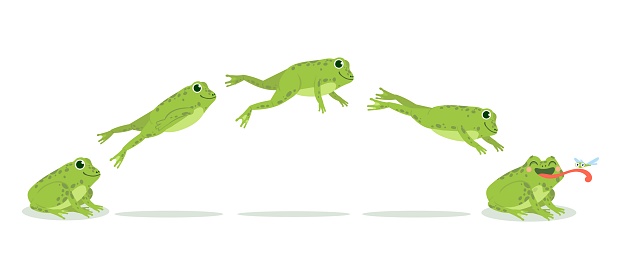 Frog jump. Various frog jumping animation sequence, jump green toad keyframes, funny water animals hunting insects, cartoon vector set