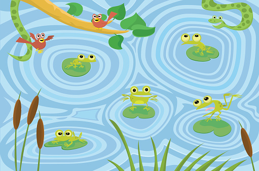 Frog Pond