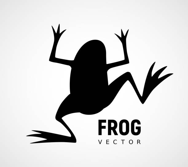 Frog silhouette. Black and white icon Frog silhouette. Black and white icon. Eps8. RGB. Global color frog clipart black and white stock illustrations