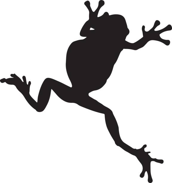 Frog silhouette on white background A silhouette of a frog frog clipart black and white stock illustrations