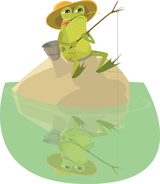 illustrazioni stock, clip art, cartoni animati e icone di tendenza di raganella seduto su una roccia pesca - ranocchia