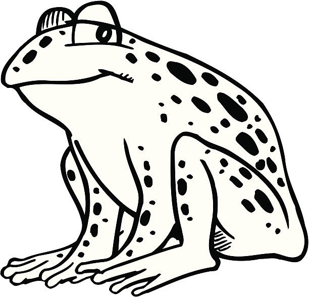 Frog Illustration of cheerful frog... frog clipart black and white stock illustrations