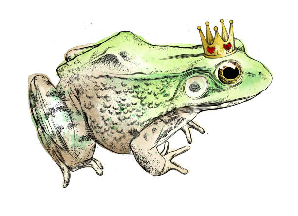 Frog Vector Illustration in Watercolor and Ink Isolated on White Frog Vector Illustration in Watercolor and Ink Isolated on White frog clipart black and white stock illustrations