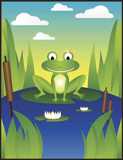 illustrazioni stock, clip art, cartoni animati e icone di tendenza di froggy - ranocchia