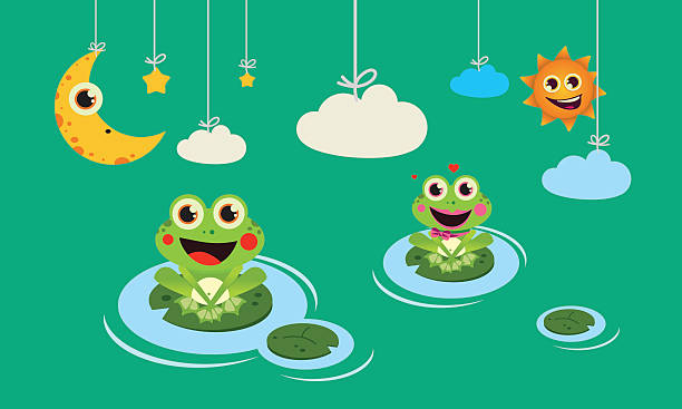 frogs night and day vector art illustration