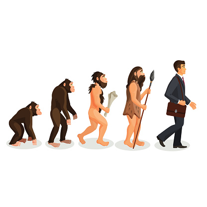 From ape to man standing process isolated. Human evolution