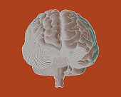 Negative engraving drawing brain in front view with flow line art isolated on orange background