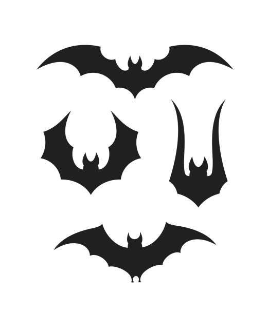 Fruit bat. Isolated bat on white background EPS 10. Vector illustration bat animal stock illustrations