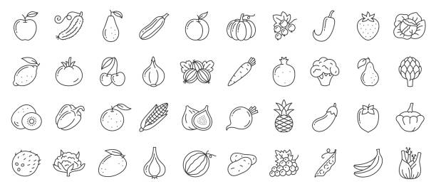 ilustrações de stock, clip art, desenhos animados e ícones de fruit berry vegetable food line icon vector set - figo