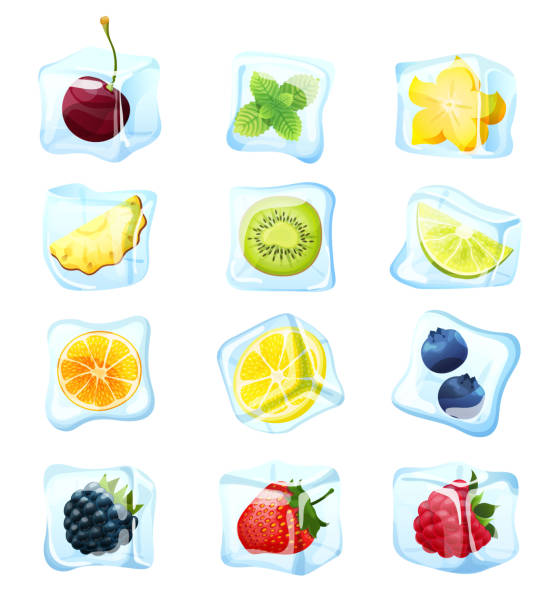 bildbanksillustrationer, clip art samt tecknat material och ikoner med frukt isbit som isolerats på vitt, fryst bär för exotiska sommar cocktail, vektor illustration - frozen leaf