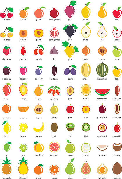 Fruit icons – big set of seventy-two vector icons Multicolored fruit icon set banana clipart stock illustrations