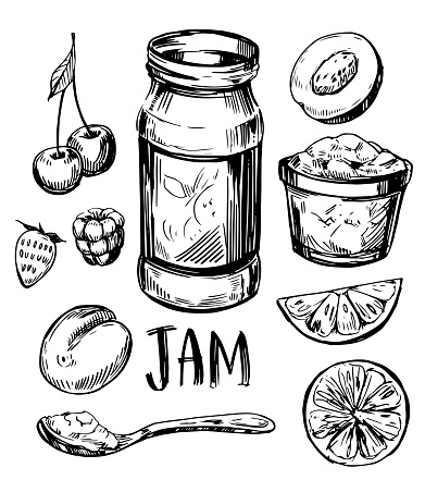 Fruit jam jar with berries and fruits. Hand drawn sketch illustration converted to vector