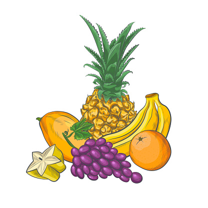 Fruit sketch vector collection.