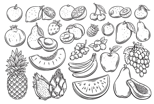 Fruits and berries outline vector icons set. Drawn monochrome raspberry, avocado, grape, peach, whole, half, cherry, mango, slice of watermelon. tangerine, lemon, apricot and ets