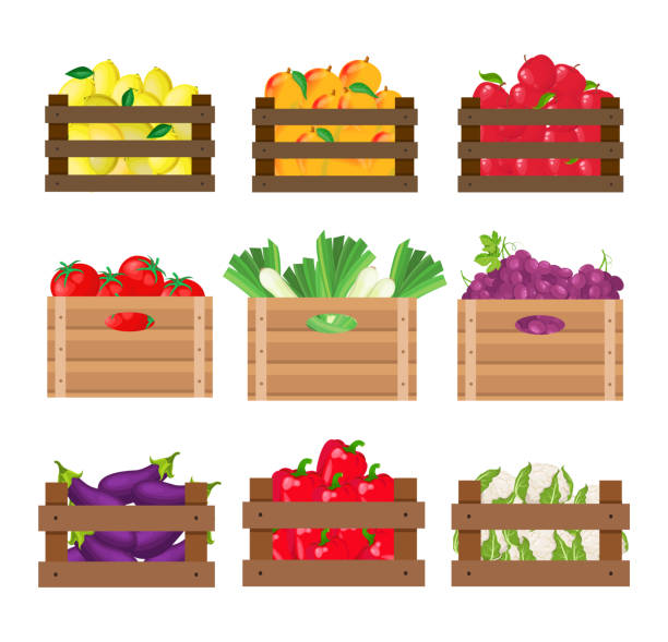 fruits and vegetables in wooden crates Set of fruits and vegetables in wooden crates on white background tomato cartoon stock illustrations