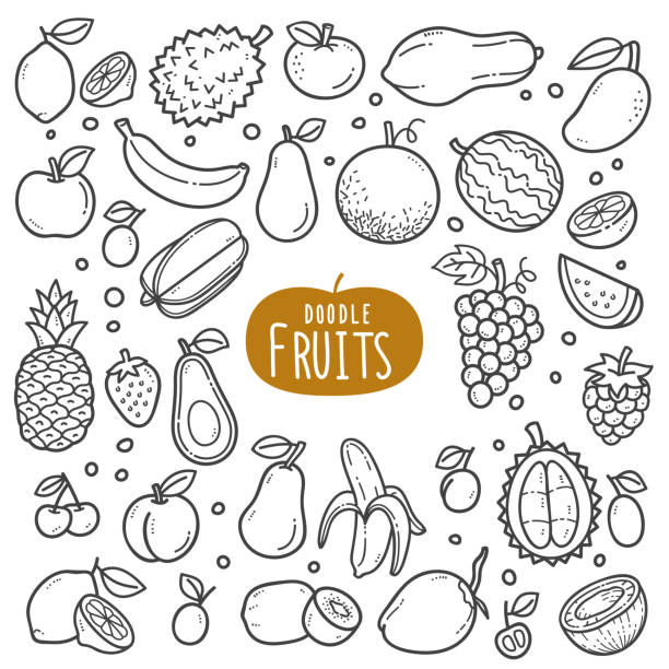Fruits Black and White Illustration. Fruits doodle drawing collection. fruit such as lemonade, watermelon, pineapple, grapes, coconut, durians etc. Hand drawn vector doodle illustrations in black isolated over white background. banana clipart stock illustrations