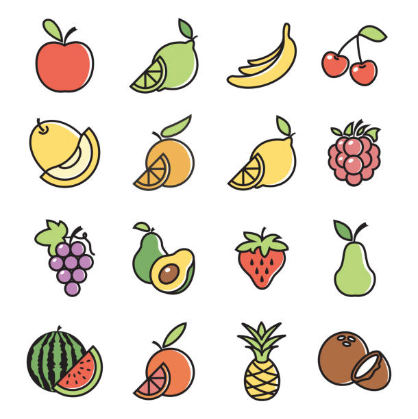 Fruits Design Icon Set Vector illustration of the fruits design icon set on white backgrounds banana clipart stock illustrations