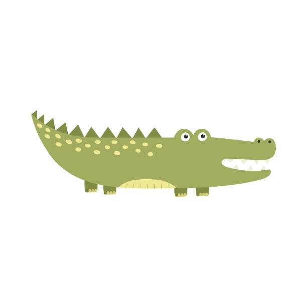 Funny alligator isolated element for kids design. Print with cute crocodile for apparel Funny alligator isolated element for kids design. Print with cute crocodile for apparel. Cartoon character clipart. Vector illustration alligator stock illustrations