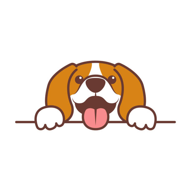 stockillustraties, clipart, cartoons en iconen met funny beagle puppy poten omhoog over muur, hond gezicht cartoon, vector illustratie - hondje