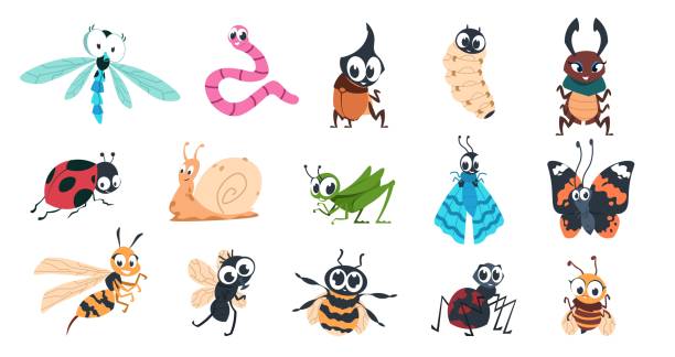 Funny bugs. Cartoon cute insects with faces, caterpillar butterfly bumblebee spider colorful characters. Vector illustration for kids Funny bugs. Cartoon cute insects with faces, caterpillar butterfly bumblebee spider larvae colorful characters. Vector designs illustration smiling creature with eyes for learning children insect stock illustrations