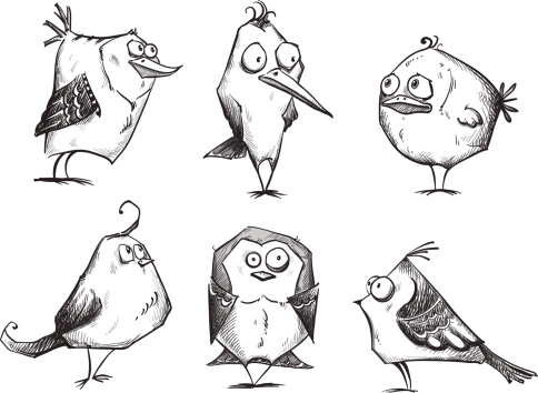 Funny cartoon birds, hand drawn