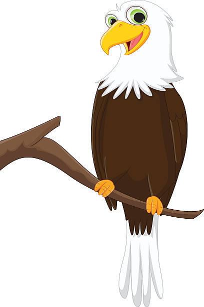 Top 60 Eagle Mascot Clip Art, Vector Graphics and ...